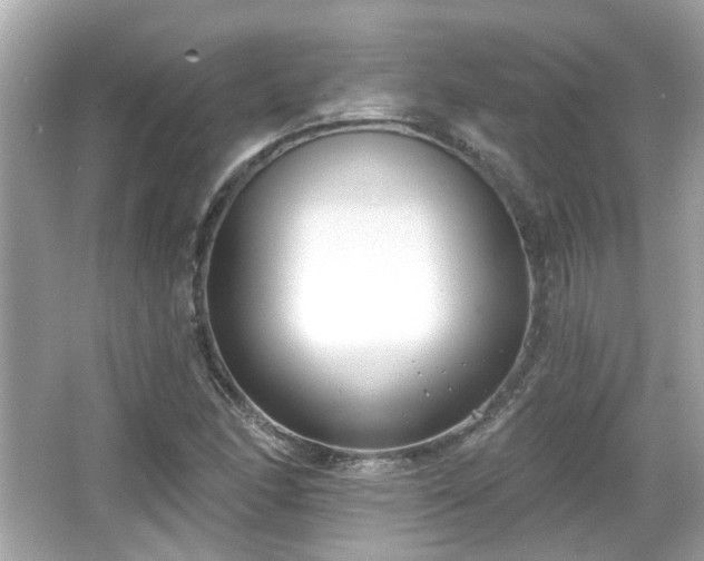 X0000065951166200603101348