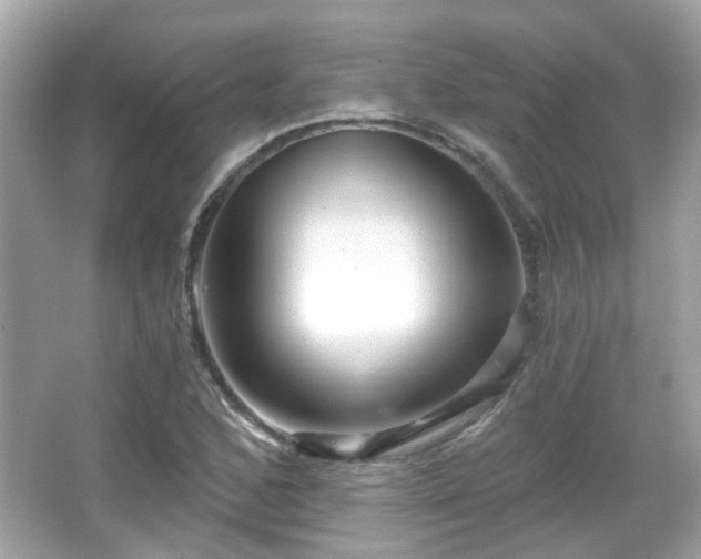 X0000065951168200603101348