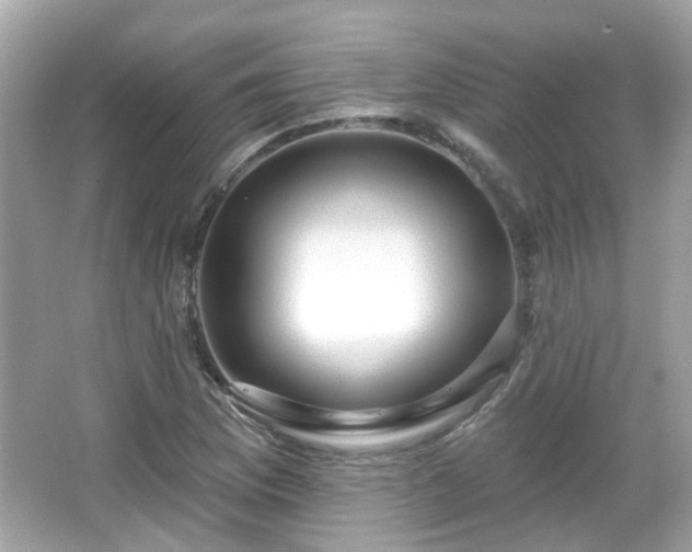 X0000065951169200603101348