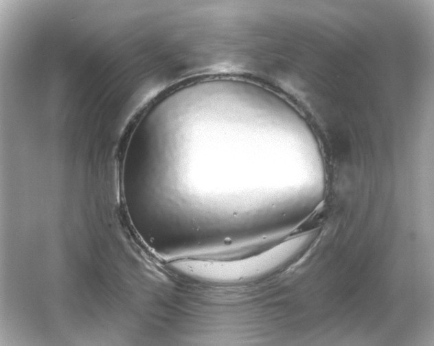 X0000065951171200603101348