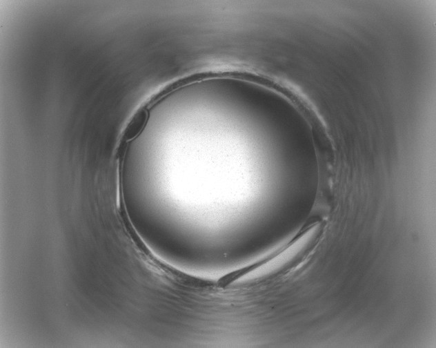 X0000065951175200603101348