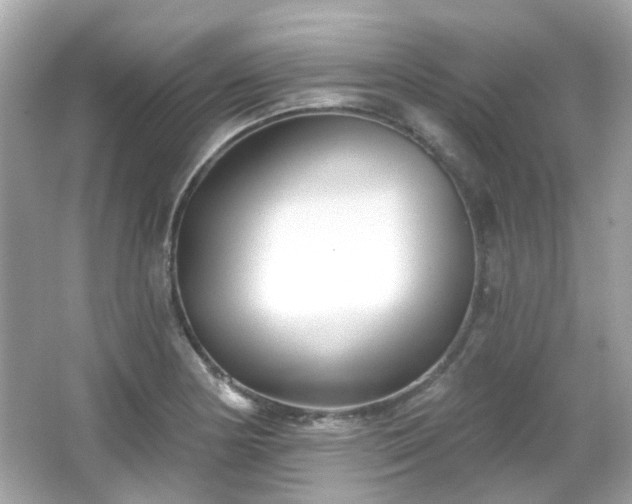 X0000065951178200603101348