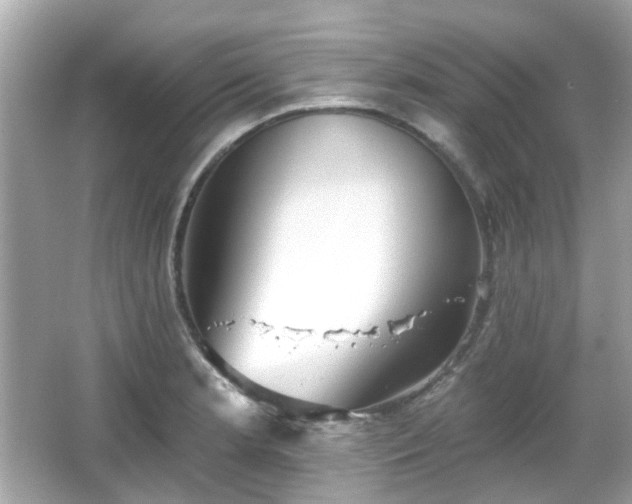 X0000065951181200603101348