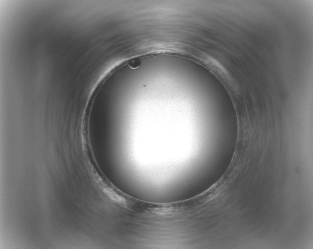 X0000065951182200603101348