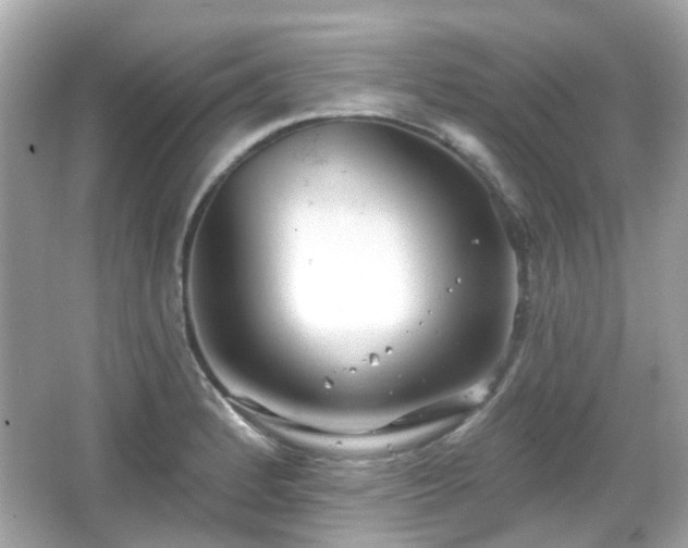 X0000065951184200603101348