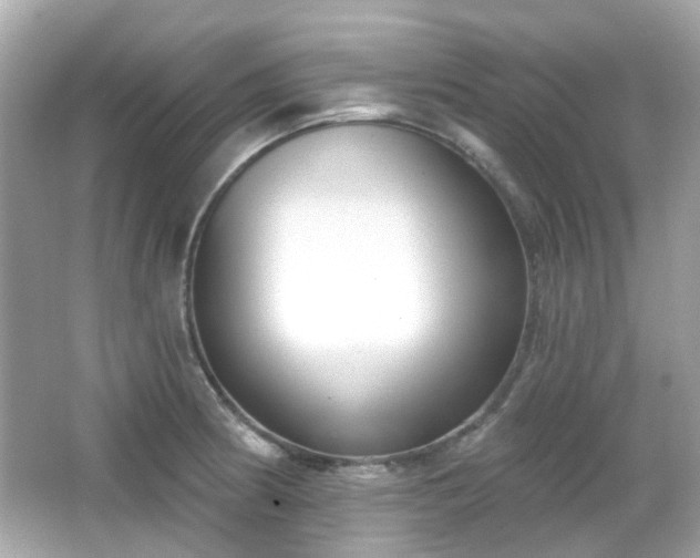 X0000065951186200603101348