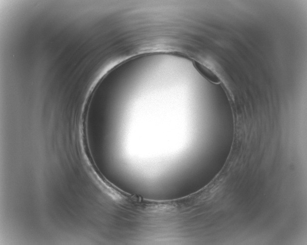 X0000065951187200603101348