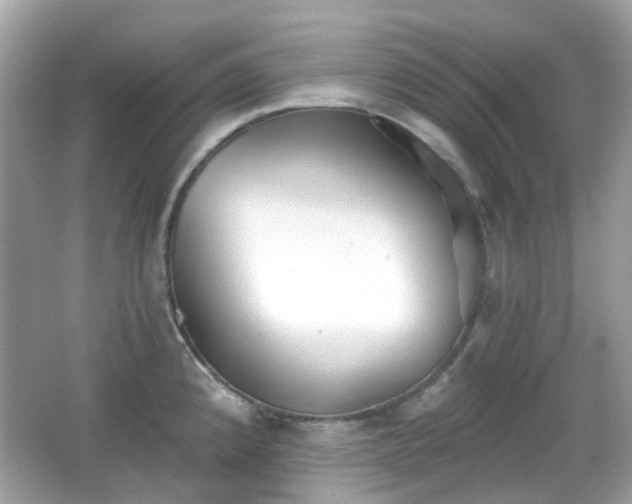 X0000065951192200603101348