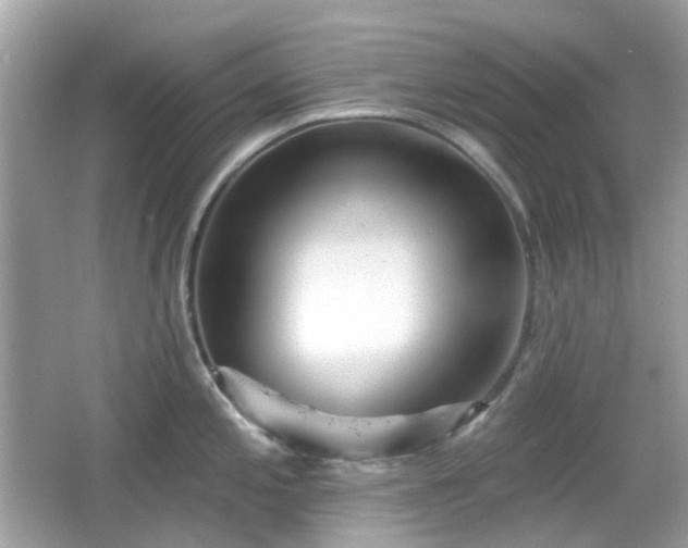 X0000065951197200603101348