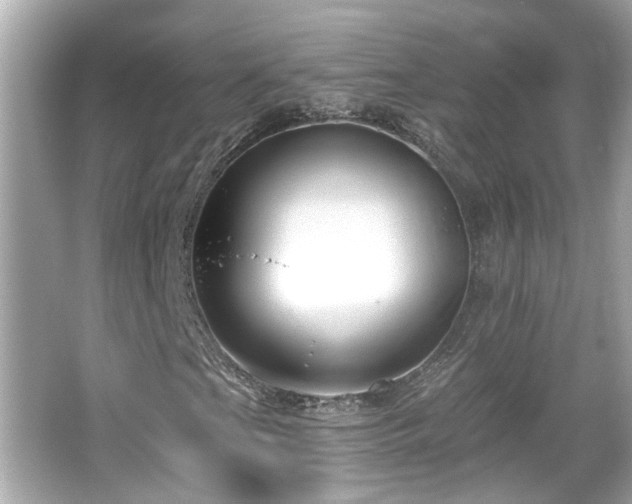 X0000065951201200603101347