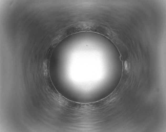 X0000065951203200603101347