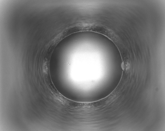 X0000065951204200603101347