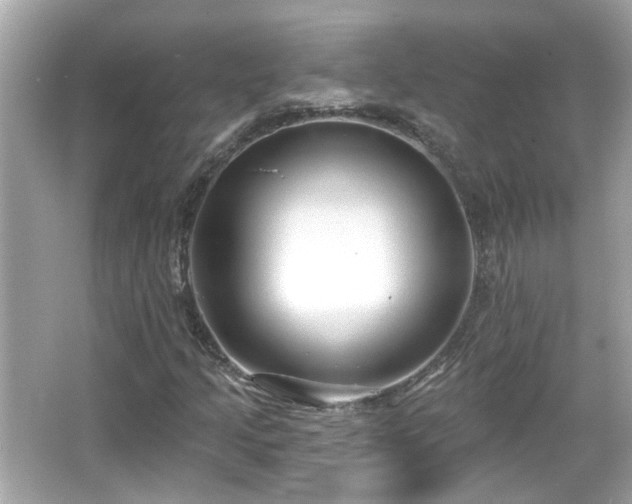 X0000065951205200603101347