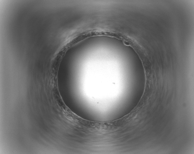 X0000065951207200603101347