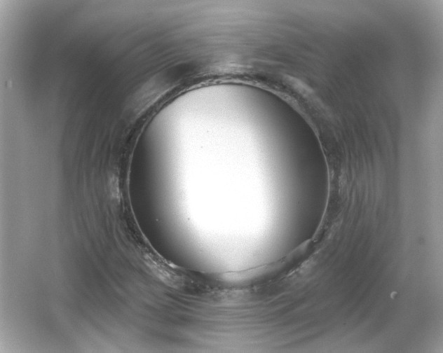 X0000065951209200603101347