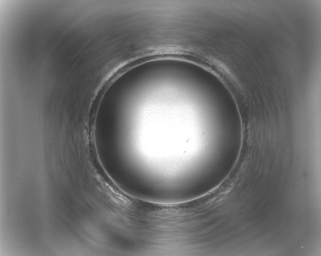 X0000065951212200603101347