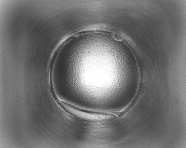 X0000065951224200603101347