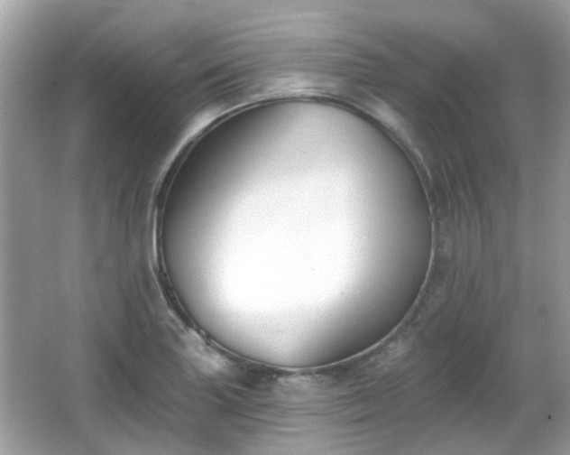 X0000065951227200603101348