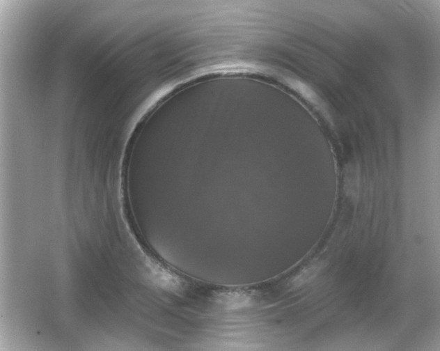 X0000065951229200603101348