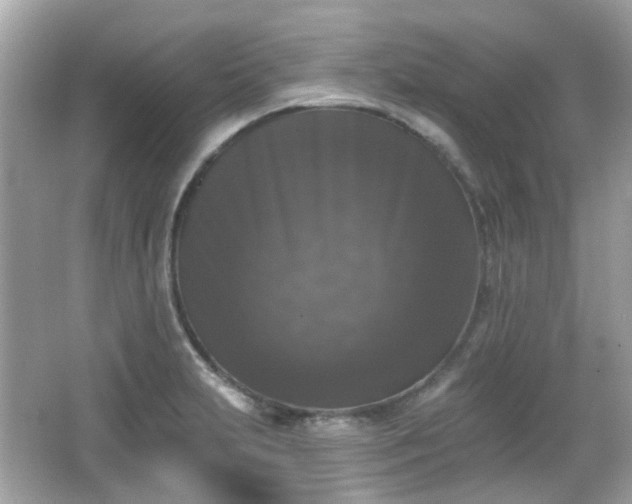 X0000065951231200603101348