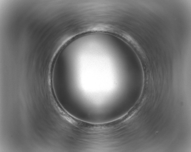 X0000065951232200603101348