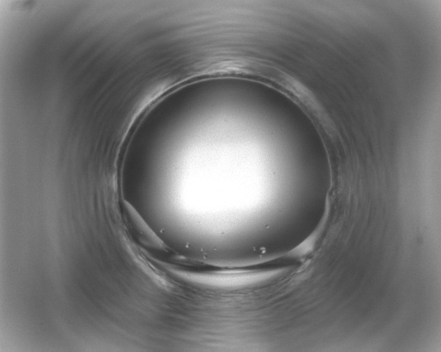 X0000065951234200603101348