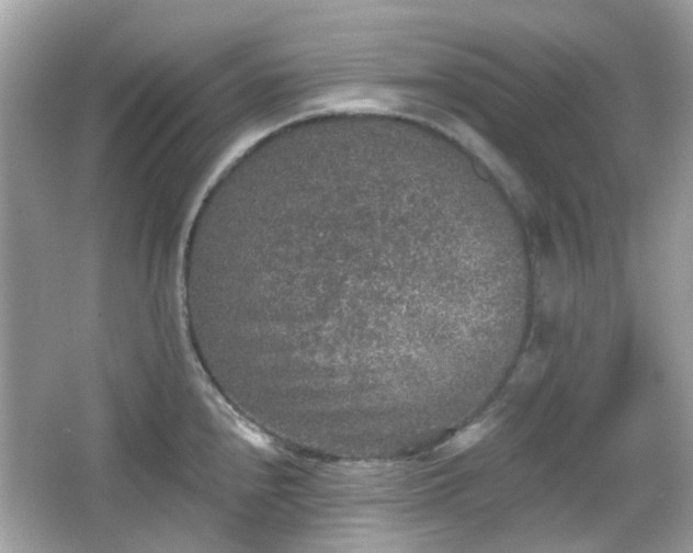 X0000065951240200603101348