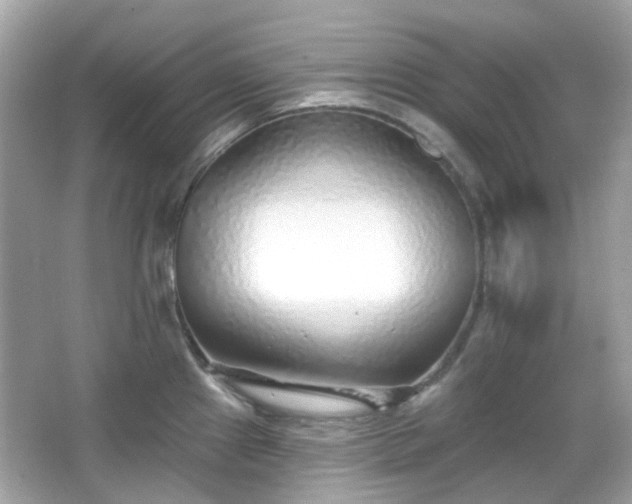 X0000065951241200603101348