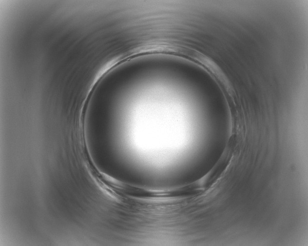X0000065951242200603101348