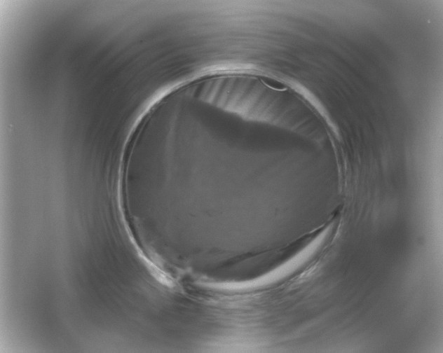 X0000065951245200603101348