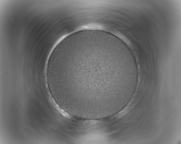 X0000065951248200603101348