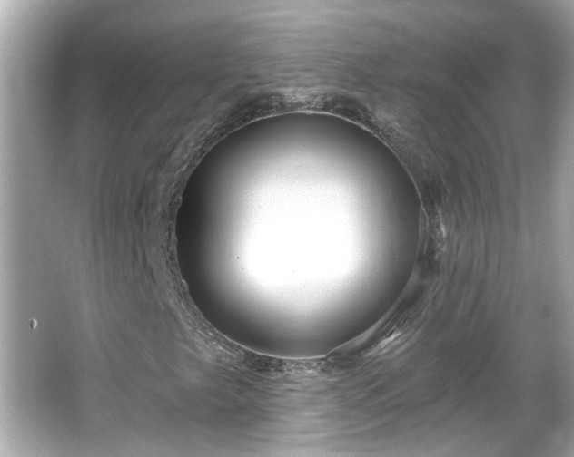 X0000065951249200603101347