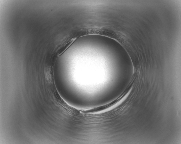 X0000065951252200603101347
