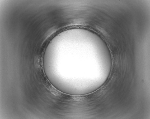 X0000065951258200603101347