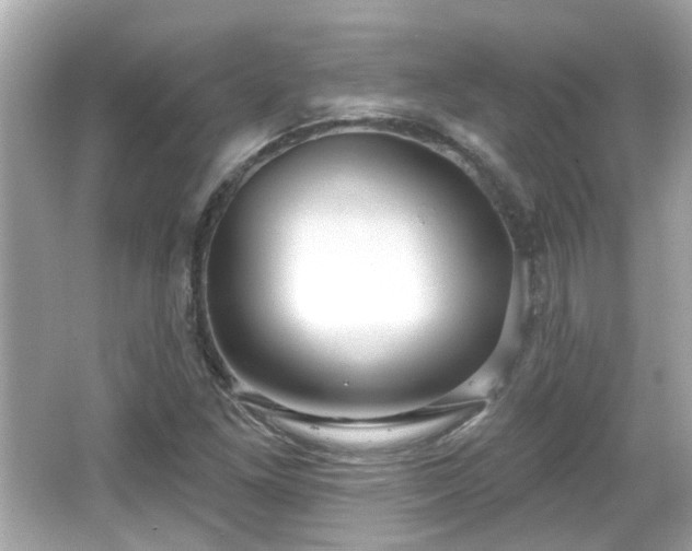 X0000065951261200603101347
