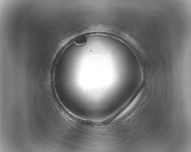 X0000065951264200603101347