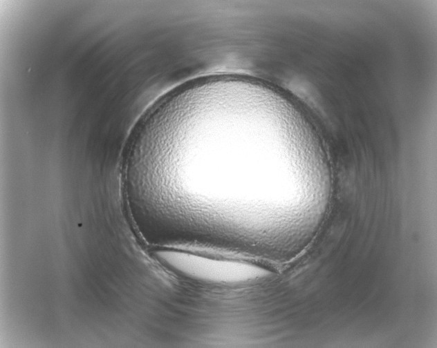 X0000065951268200603101347