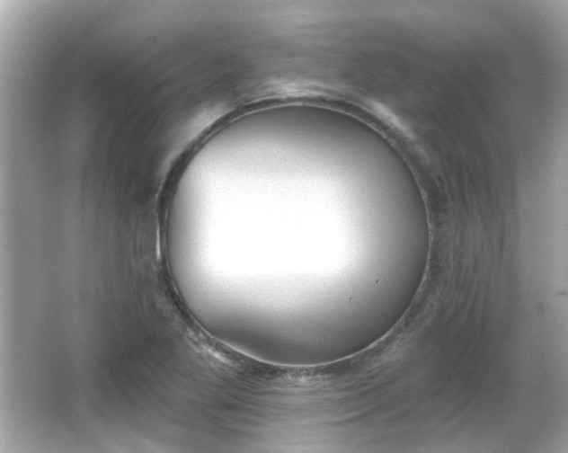 X0000065951269200603101347