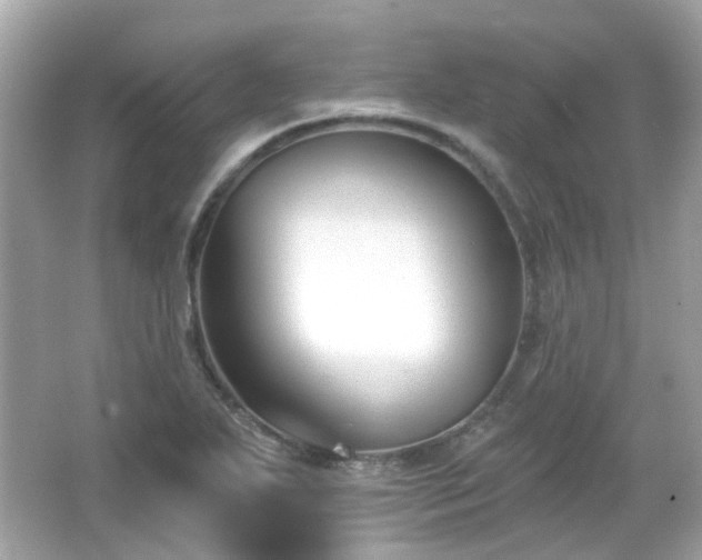 X0000065951271200603101347