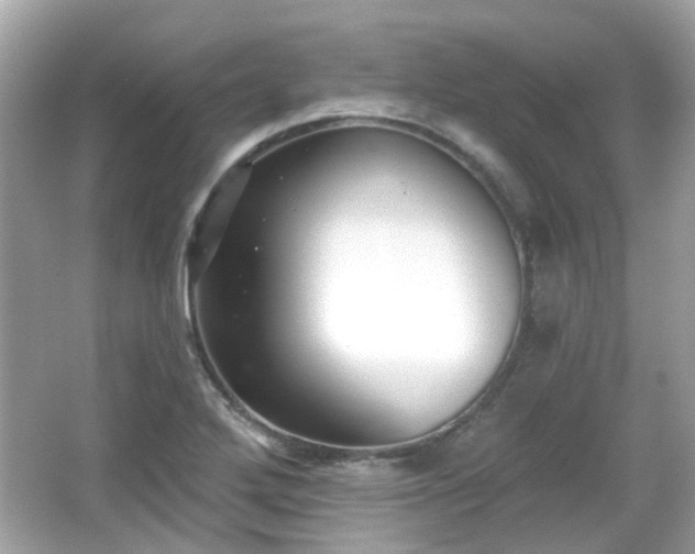 X0000065951272200603101347