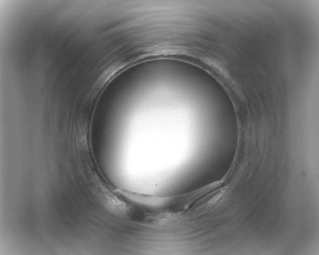 X0000065951273200603101347