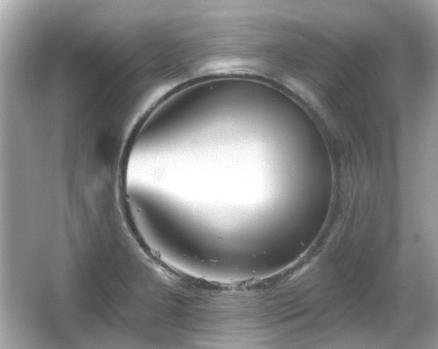 X0000065951277200603101347