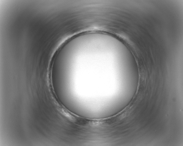 X0000065951278200603101347