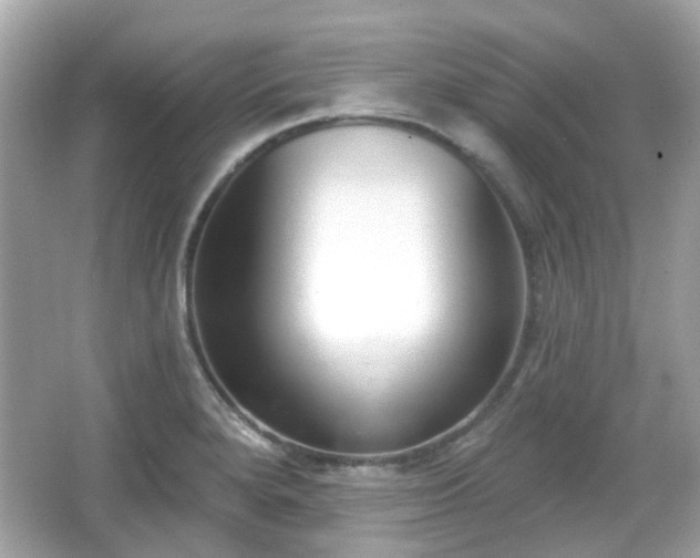 X0000065951280200603101347