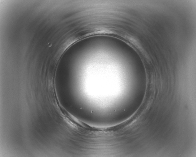 X0000065951281200603101347