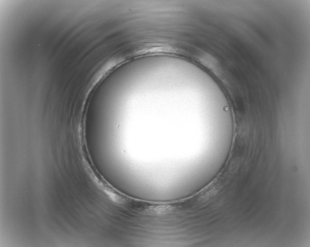 X0000065951282200603101347