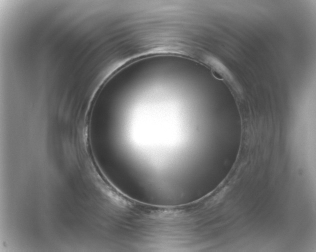 X0000065951284200603101346