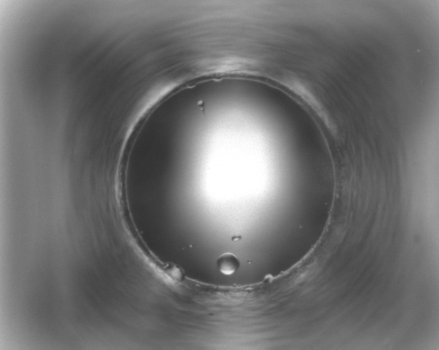 X0000065951285200603101346