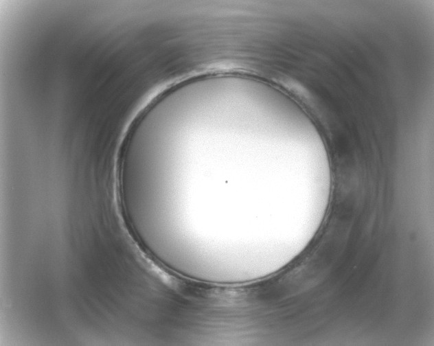 X0000065951286200603101346