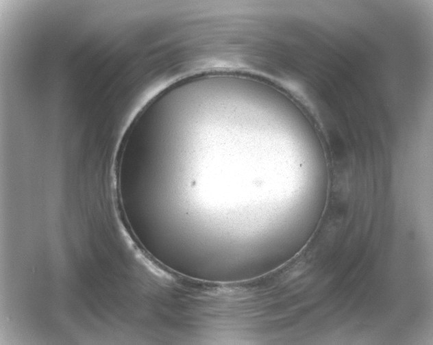 X0000065951287200603101346